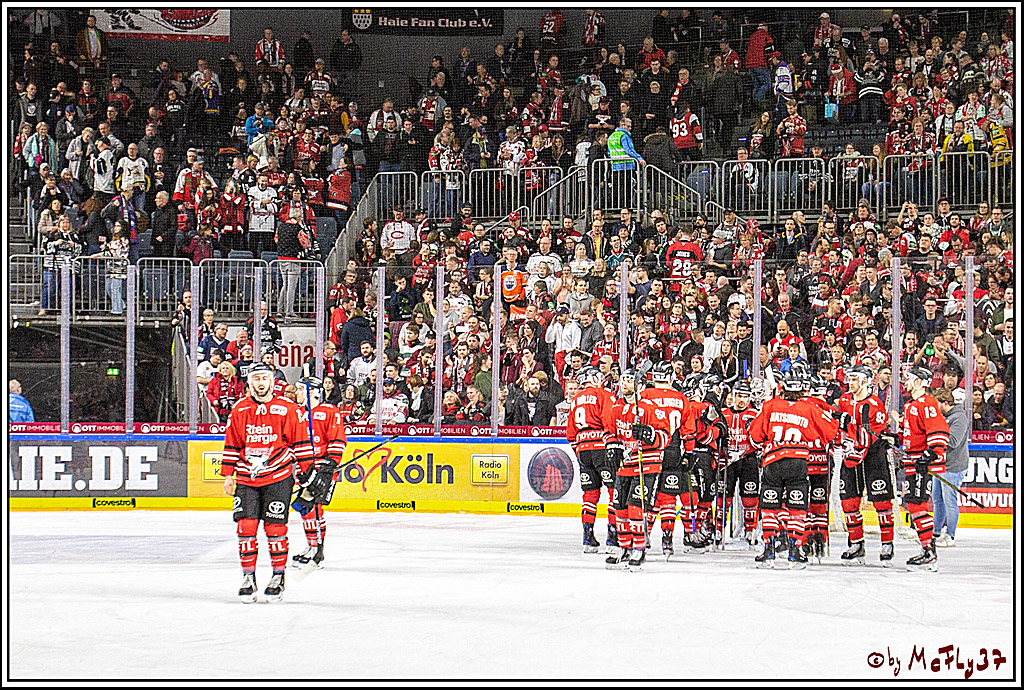 DEL;  Koelner Haie - Schwenninger Wild Wings; Koeln, 20.12.2019